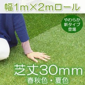 <商品②>